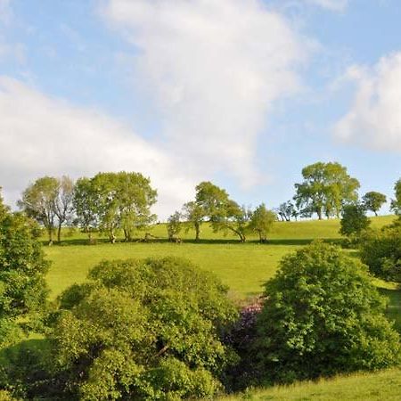 Hendre Aled Farmhouse Llansannan Zewnętrze zdjęcie