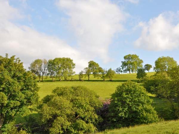 Hendre Aled Farmhouse Llansannan Zewnętrze zdjęcie